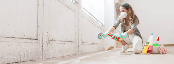 Martinsville, VA Mold Inspection, Removal & Remediation Company